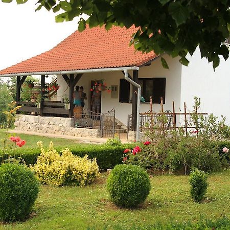 Apartment Eva Rakovica Bagian luar foto