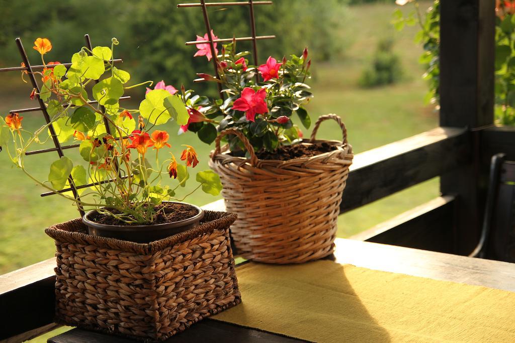 Apartment Eva Rakovica Bagian luar foto