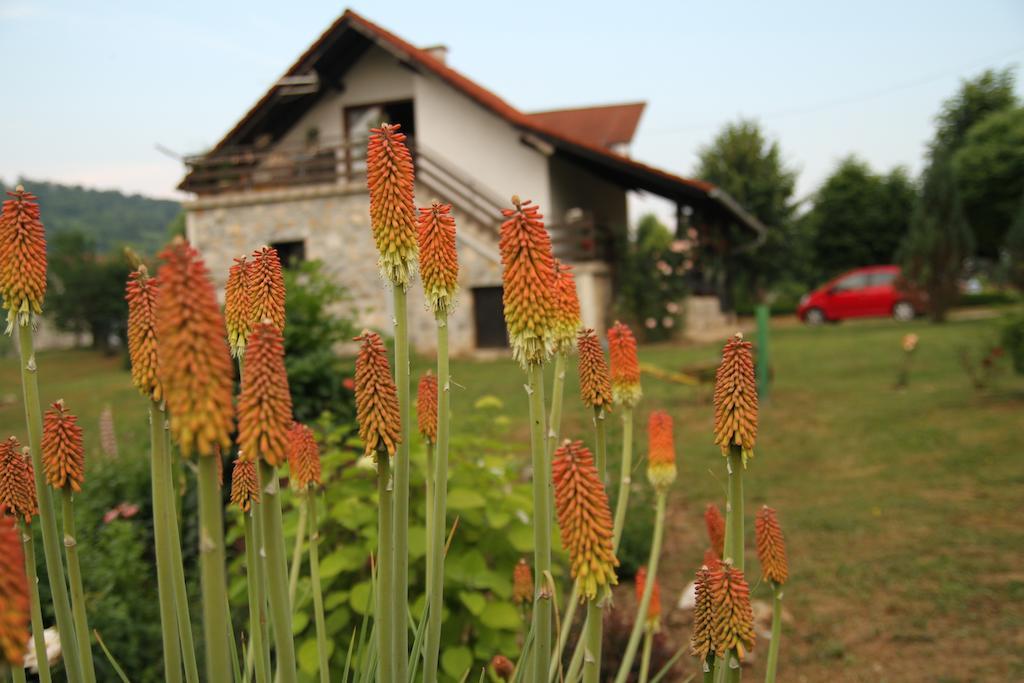 Apartment Eva Rakovica Bagian luar foto